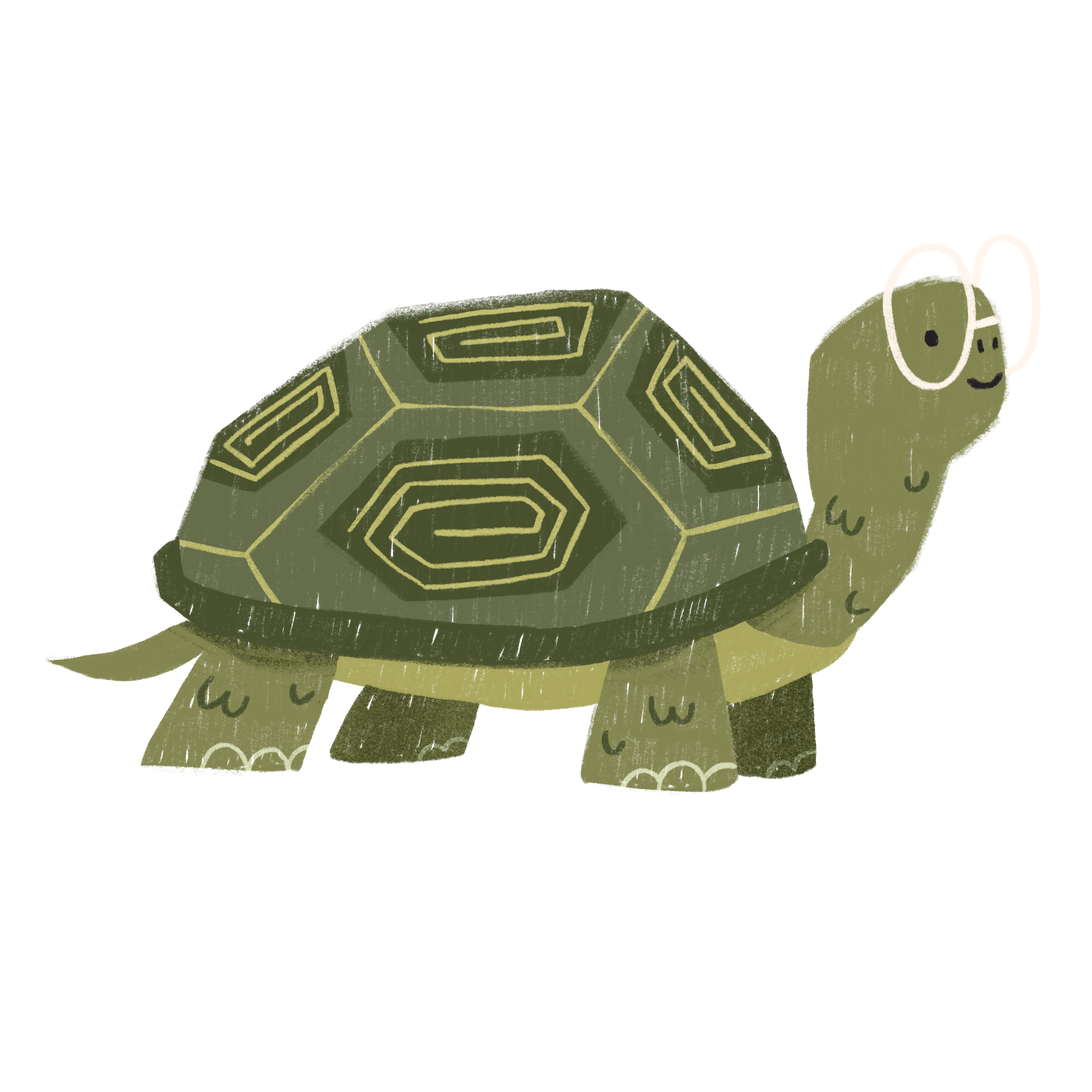 Turi